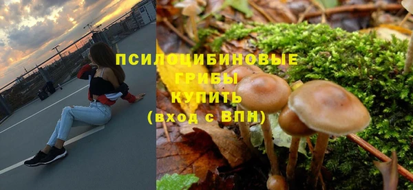спиды Алзамай