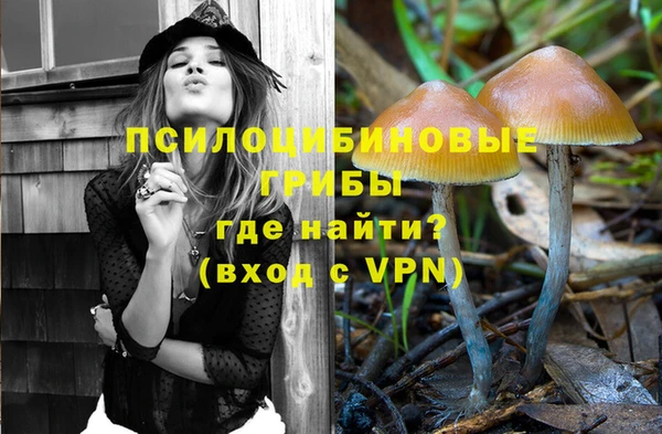 ALPHA PVP Баксан